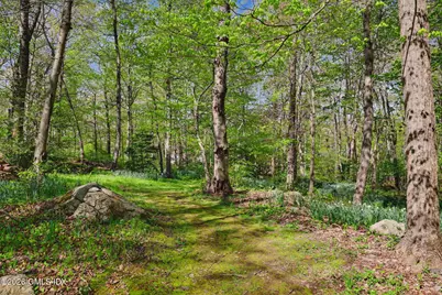 195 Old Mill Road, Greenwich, CT 06831 - Photo 34