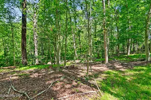 424 Cognewaugh Rd, Greenwich, CT 06807 - Photo 42