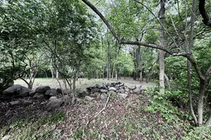 8 Sheffield Way, Greenwich, CT 06831 - Photo 6