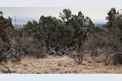 Lot 1401 N Lightning Ridge Rd, Seligman, AZ 86337 - Photo 8