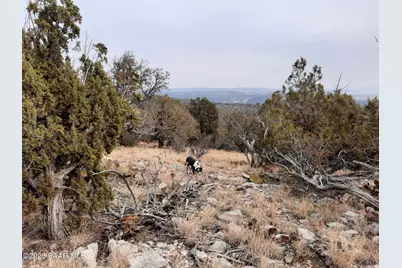 Lot 1401 N Lightning Ridge Rd, Seligman, AZ 86337 - Photo 8