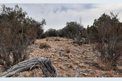 Lot 1401 N Lightning Ridge Rd, Seligman, AZ 86337 - Photo 12
