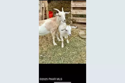 2940 W Willow Breeze Road, Chino Valley, AZ 86323 - Photo 22