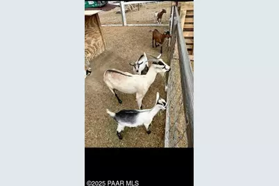 2940 W Willow Breeze Road, Chino Valley, AZ 86323 - Photo 20