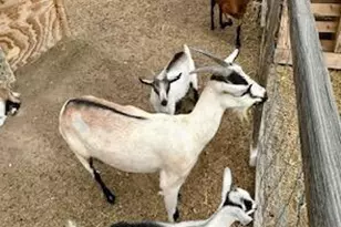 2940 W Willow Breeze Rd, Chino Valley, AZ 86323 - Photo 20