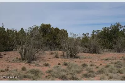 55899 N Val Vista Road, Seligman, AZ 86337 - Photo 1