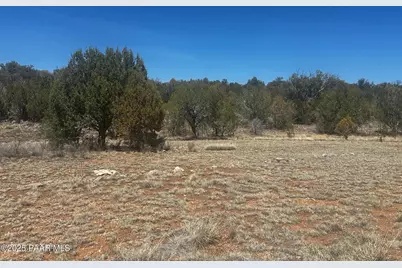 32372 Ancho Road, Seligman, AZ 86337 - Photo 10