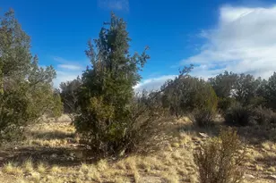 32292 W Ancho Rd, Seligman, AZ 86337 - Photo 1