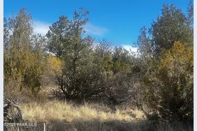 32292 W Ancho Road, Seligman, AZ 86337 - Photo 4