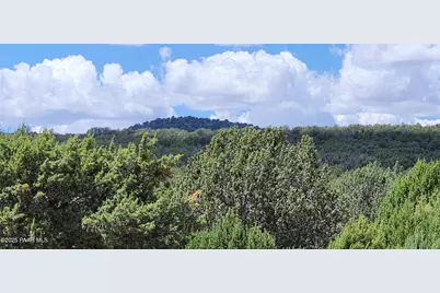 262 Off Noseeum, Williams, AZ 86046 - Photo 4