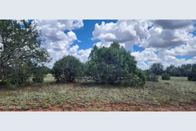 262 Off Noseeum, Williams, AZ 86046 - Photo 1