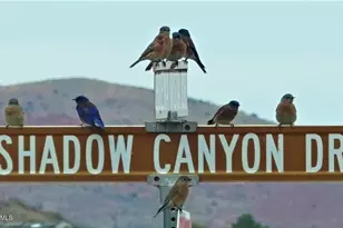 661 Shadow Canyon Dr, Clarkdale, AZ 86324 - Photo 58