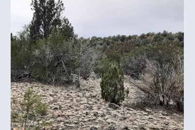 Lot 1359 Off Last Chance Rd, Seligman, AZ 86337 - Photo 4