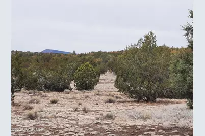 Lot 1359 Off Last Chance Rd, Seligman, AZ 86337 - Photo 6