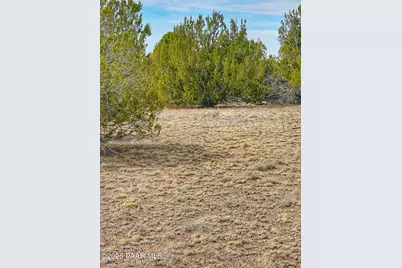 01 Skedaddle, Seligman, AZ 86337 - Photo 4