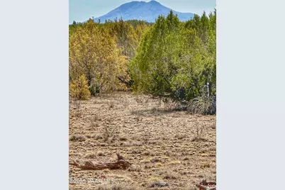 01 Skedaddle, Seligman, AZ 86337 - Photo 1