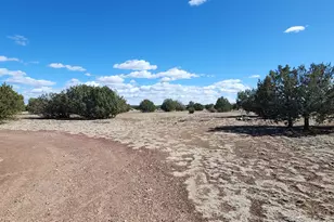 3597 Boone Trail, Ash Fork, AZ 86046 - Photo 48