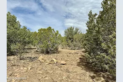 Lot 841 N Critter Gultch, Seligman, AZ 86337 - Photo 6
