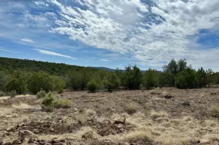 Lot 841 N Critter Gultch, Seligman, AZ 86337 - Photo 1