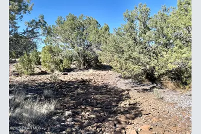 Lot 46 W Rawhide Ranch Road, Ash Fork, AZ 86320 - Photo 6