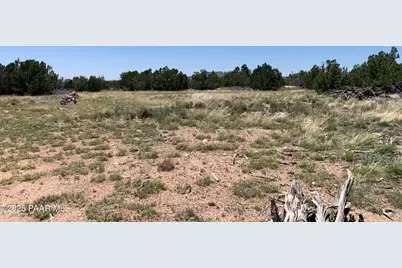 37925 W Raptor Road, Seligman, AZ 86337 - Photo 1