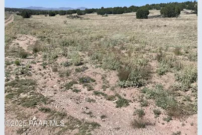 37925 W Raptor Road, Seligman, AZ 86337 - Photo 8