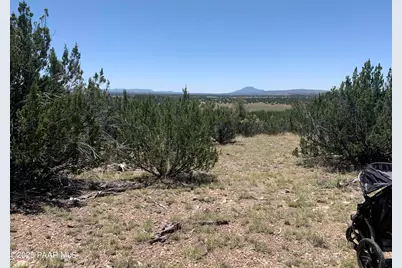 37925 W Raptor Road, Seligman, AZ 86337 - Photo 2