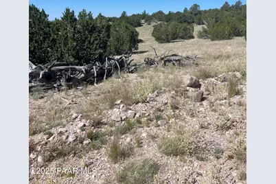 37925 W Raptor Road, Seligman, AZ 86337 - Photo 4