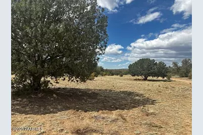 00 Antler Trail, Seligman, AZ 86337 - Photo 1