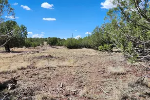 467 W Edgewood Dr, Williams, AZ 86046 - Photo 6