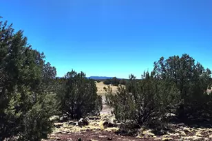 408 Inez Dr, Williams, AZ 86046 - Photo 24