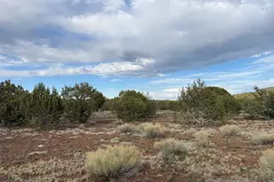 16432 Incline Trl, Williams, AZ 86046 - Photo 54