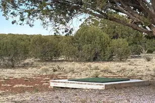 16432 Incline Trl, Williams, AZ 86046 - Photo 46