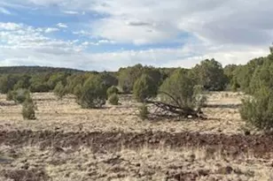 16432 Incline Trl, Williams, AZ 86046 - Photo 60