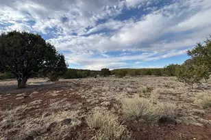 16432 Incline Trl, Williams, AZ 86046 - Photo 64