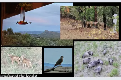 1515 N Happy Valley Road, Prescott, AZ 86305 - Photo 66