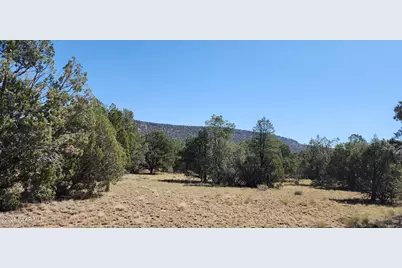 36950 W Avenida Del Destino, Seligman, AZ 86337 - Photo 4