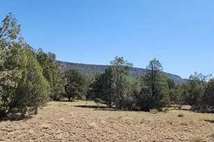 36950 W Avenida Del Destino, Seligman, AZ 86337 - Photo 4