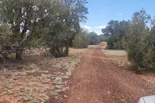 36950 W Avenida Del Destino, Seligman, AZ 86337 - Photo 6