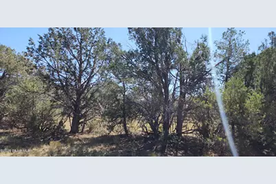 36950 W Avenida Del Destino, Seligman, AZ 86337 - Photo 62