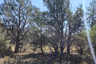 36950 W Avenida Del Destino, Seligman, AZ 86337 - Photo 62