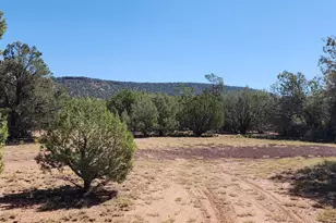 36950 W Avenida Del Destino, Seligman, AZ 86337 - Photo 60