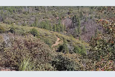 9.69 Acres Forest Service Road 132, Prescott Valley, AZ 86315 - Photo 18