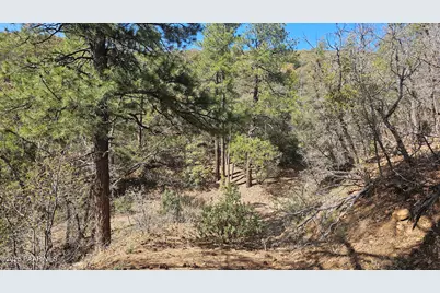 9.69 Acres Forest Service Road 132, Prescott Valley, AZ 86315 - Photo 28