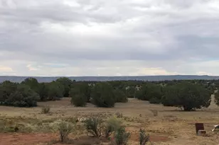 56539 N El Parque Ln, Seligman, AZ 86337 - Photo 20