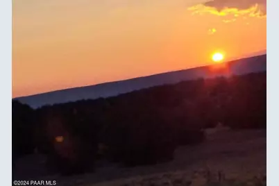 56539 N El Parque Lane, Seligman, AZ 86337 - Photo 34