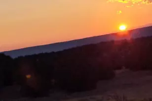 56539 N El Parque Ln, Seligman, AZ 86337 - Photo 34