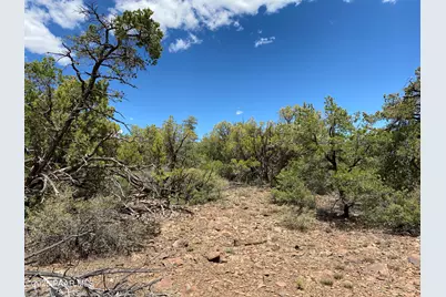 00 Shiloh Road, Seligman, AZ 86337 - Photo 8