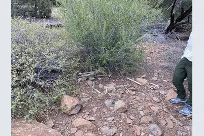 00 Shiloh Road, Seligman, AZ 86337 - Photo 22