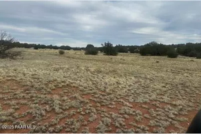 Lot 382Ne Gable Road, Seligman, AZ 86337 - Photo 4